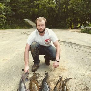 Meet your Posher, Joe